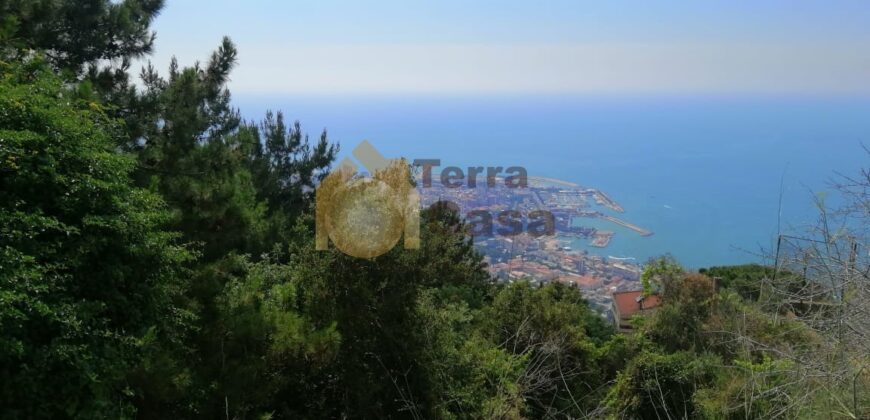 Land in Daroun Harissa  beautiful panoramic sew view