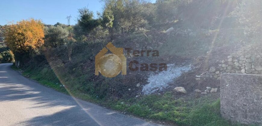 Land for sale in Ghalboun located in calm area  mountain view