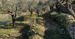 Land for sale in Ghalboun located in calm area  mountain view