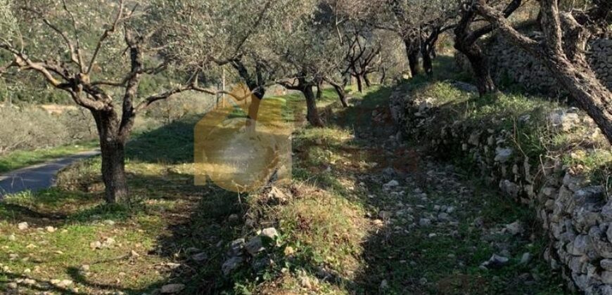 Land for sale in Ghalboun located in calm area  mountain view