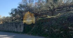 Land for sale in Ghalboun located in calm area  mountain view