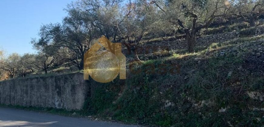 Land for sale in Ghalboun located in calm area  mountain view