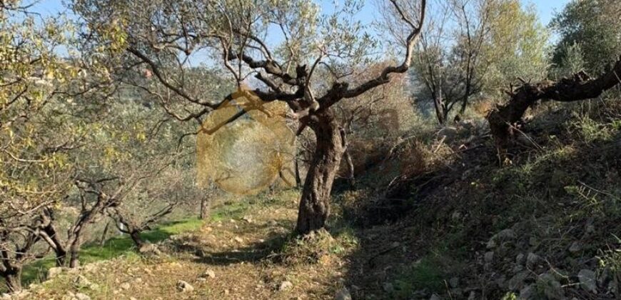 Land for sale in Ghalboun located in calm area  mountain view