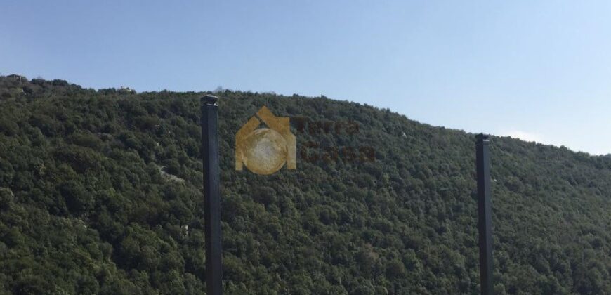 Land for sale in Maarab located in a calm area Sea view