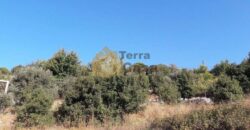 Land for sale in Lehfid located in calm area  mountain view