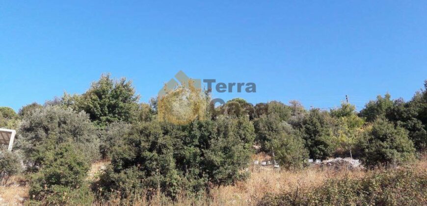 Land for sale in Lehfid located in calm area  mountain view