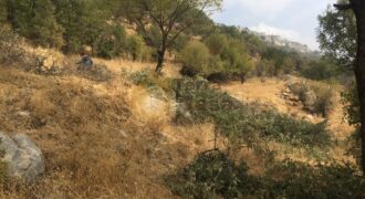 Land for sale Baskinta panoramic view. Ref#3312