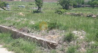 Sale land in Tarchich open view cash payment.