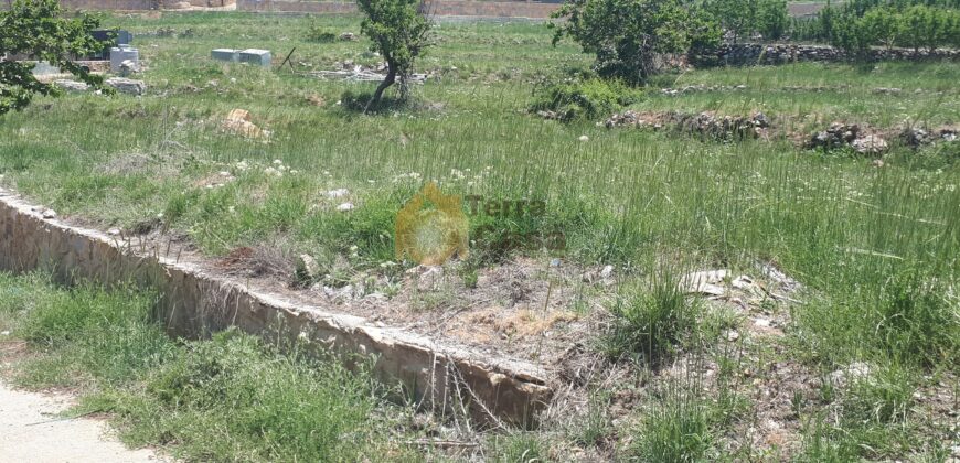 Sale land in Tarchich open view cash payment.