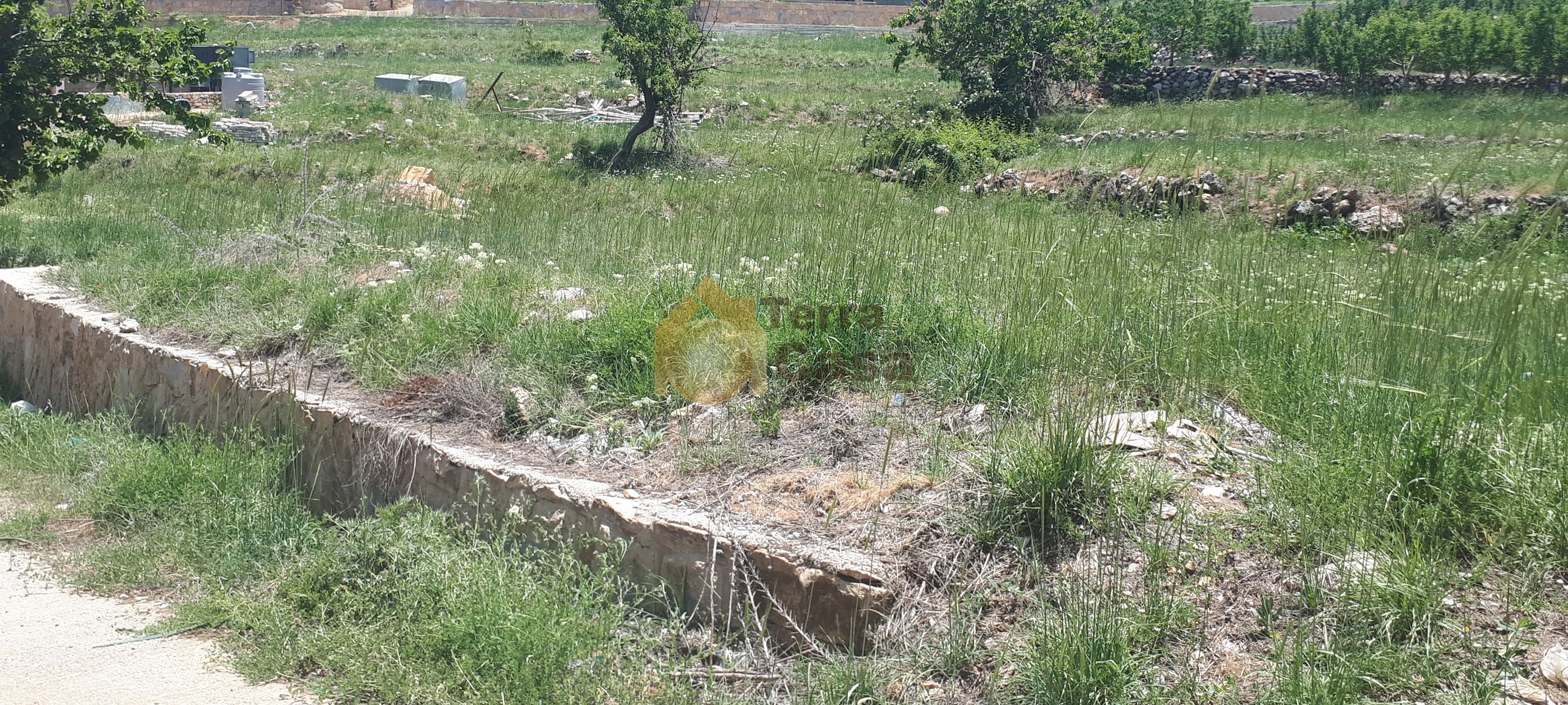 Sale land in Tarchich open view cash payment.