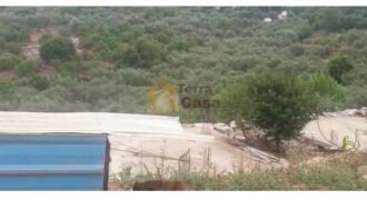 land in monsef with construction permit for three villas .