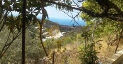 land in Bentael , jbeil REf# 3504