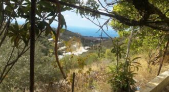 land in Bentael , jbeil REf# 3504