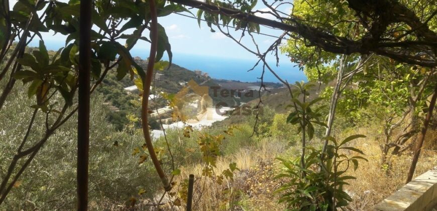 land in Bentael , jbeil REf# 3504