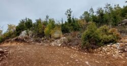 Mechmech Jbeil land nice location.