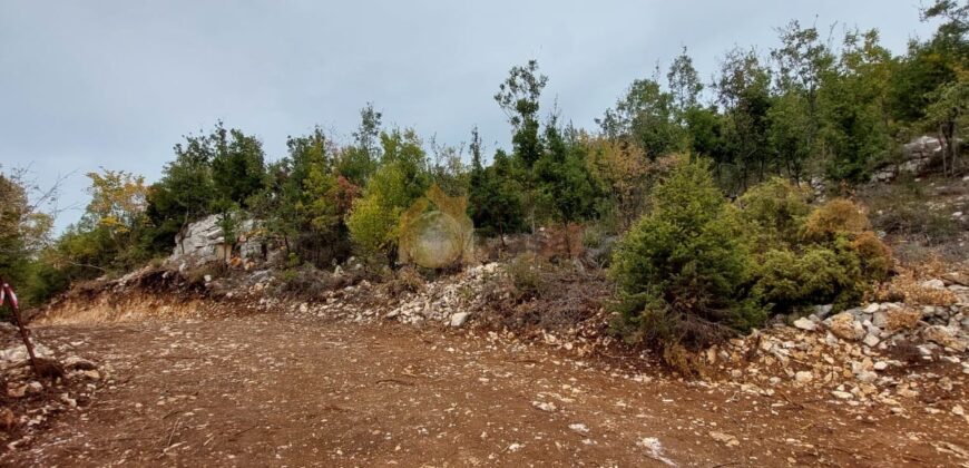 Mechmech Jbeil land nice location.