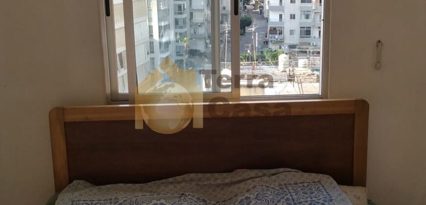 Sarba fully decorated apartment open view.