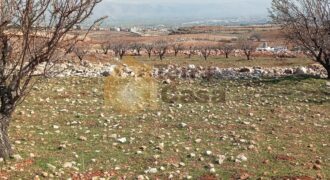 Twaite 1256 sqm land for sale Ref#3756