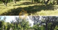 Land for sale in majdel El _ aquoura