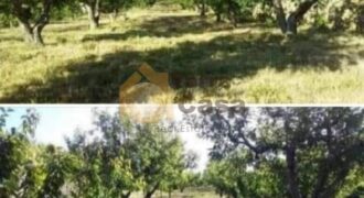 Land for sale in majdel El _ aquoura