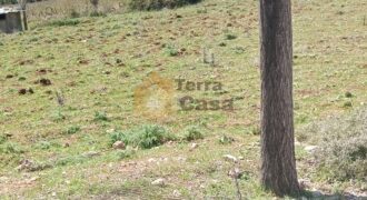 Land for sale EIN baraki 1385 sqm Ref#3888