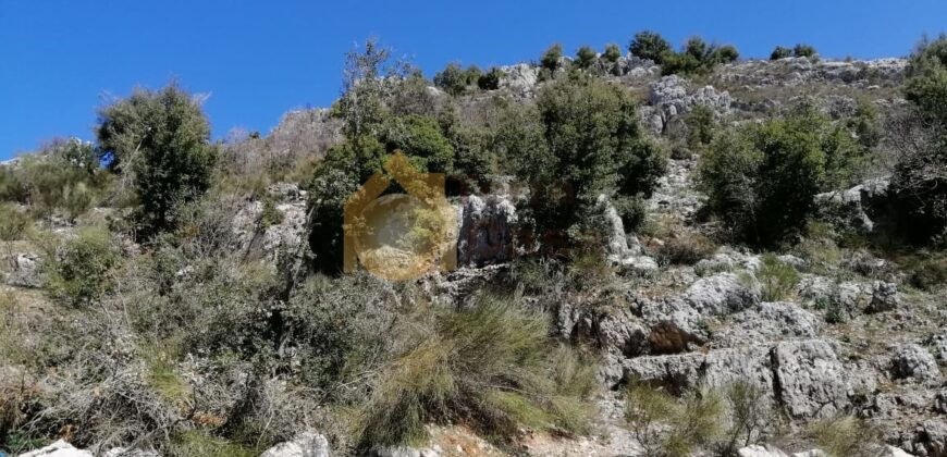 Land for sale in Bekaatat Achkout located in prime area beautiful  mountain view