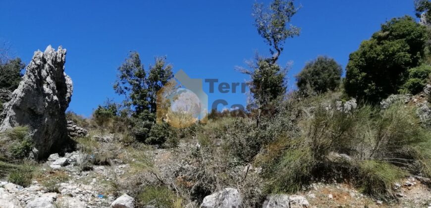 Land for sale in Bekaatat Achkout located in prime area beautiful  mountain view