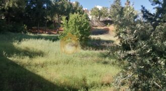 zahle ksara land 1215 sqm prestigious neighborhood for sale #4034