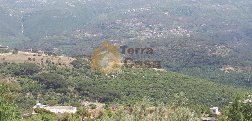 Sale land in Ajaltoun