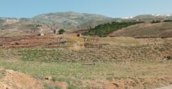 Twaiti jdita 11535 sqm land for sale Ref#4125