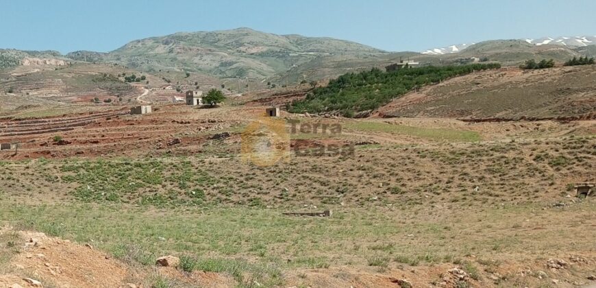 Twaiti jdita 11535 sqm land for sale Ref#4125