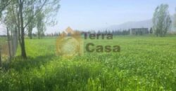 Kabelias agriculture land  for sale Ref#4145