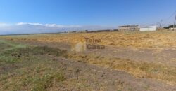 Marj Agriculture land 16827 sqm for sale