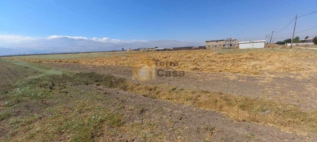 Marj Agriculture land 16827 sqm for sale