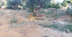 Sale land in Mar Moussa Douar