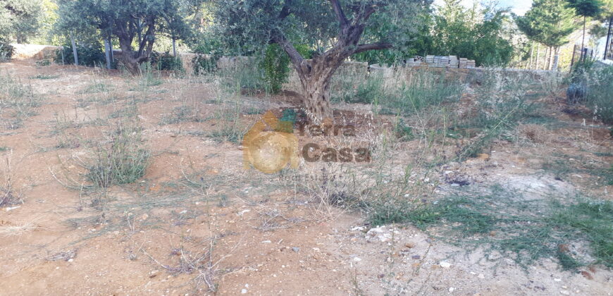 Sale land in Mar Moussa Douar