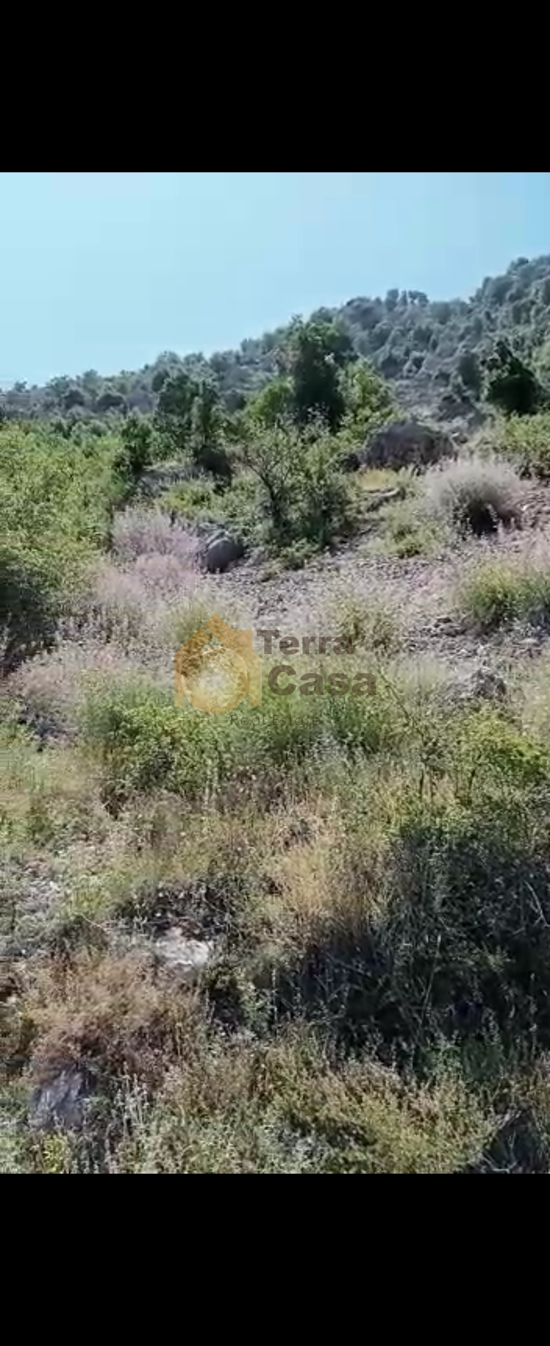 Land for sale In aqoura