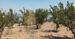 Mrayjet 1785 sqm land with open view for sale