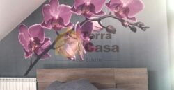 quadruplex chalet for rent in faqra