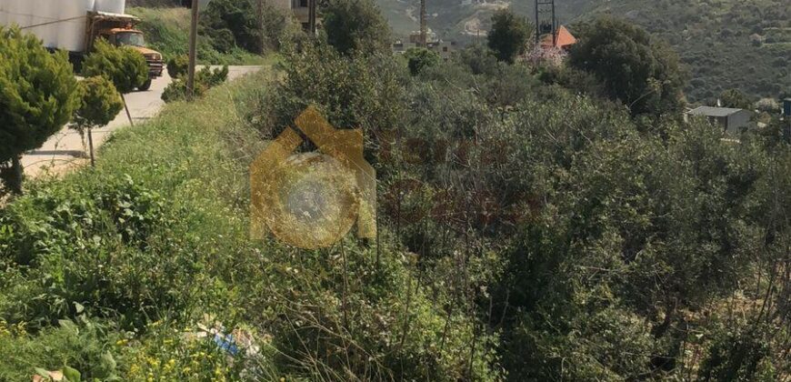 land with sea view in hosrayel for sale