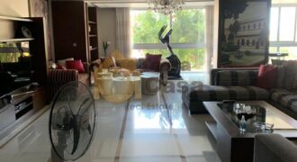 apartment super deluxe, fully furnished in saifi for rent Ref#4475