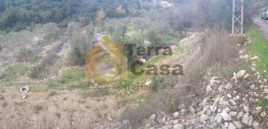 land for sale in bejjeh, jbeil