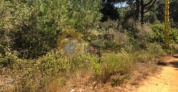 land for sale in bikfaya