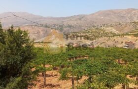 land in zahle, wadi el arayesh, for sale