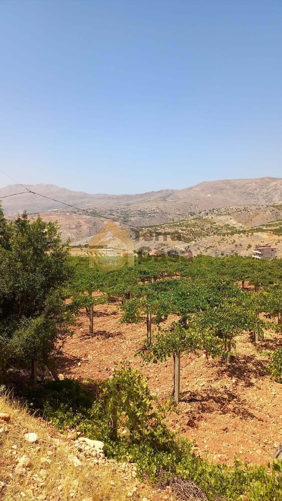 land in zahle, wadi el arayesh, for sale