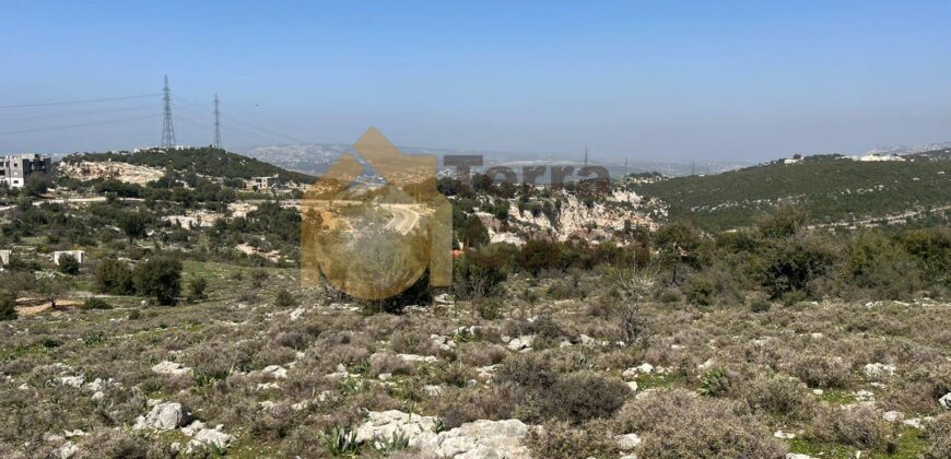 land open view in assia, batroun tannourine, for sale