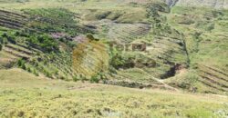 land with a panoramic view in tannourine for sale