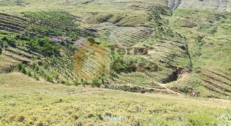 land with a panoramic view in tannourine for sale