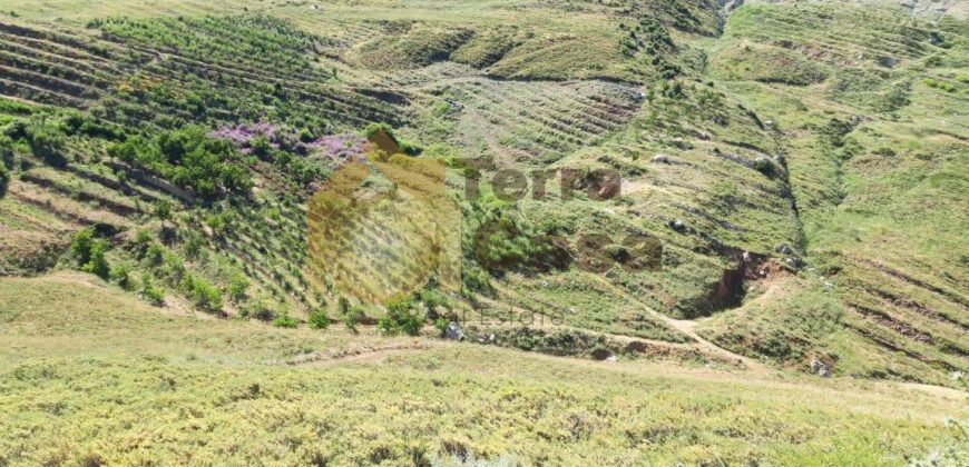 land with a panoramic view in tannourine for sale