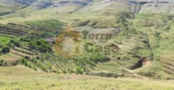 land with a panoramic view in tannourine for sale